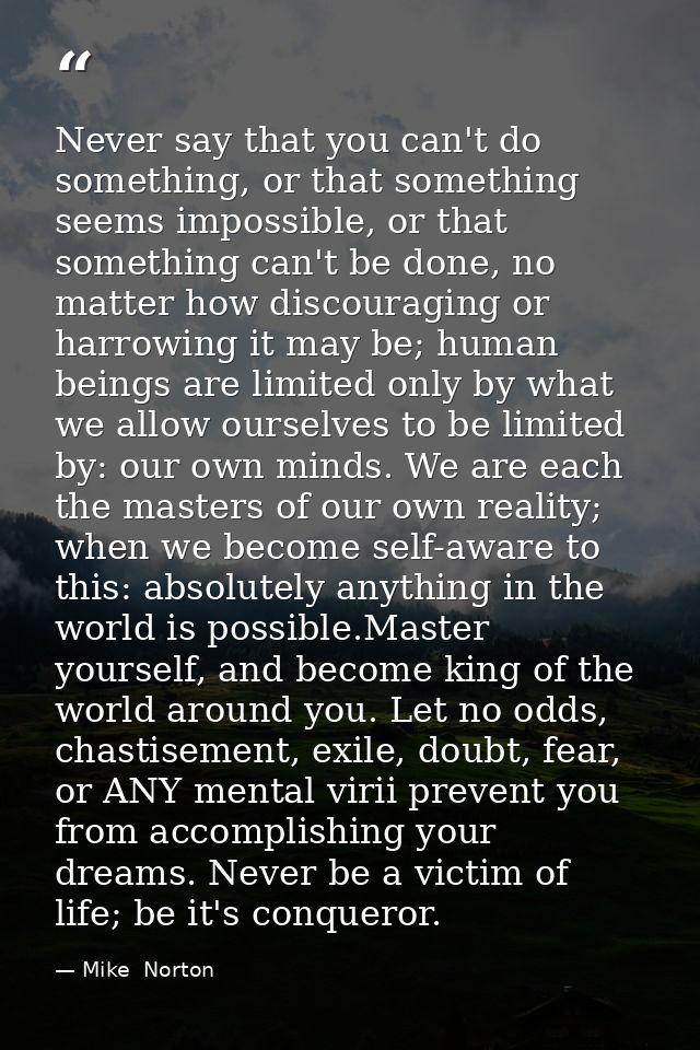 Never say that you can't do something, or that something seems impossible, or that something can't be done, no matter ho — Mike  Norton