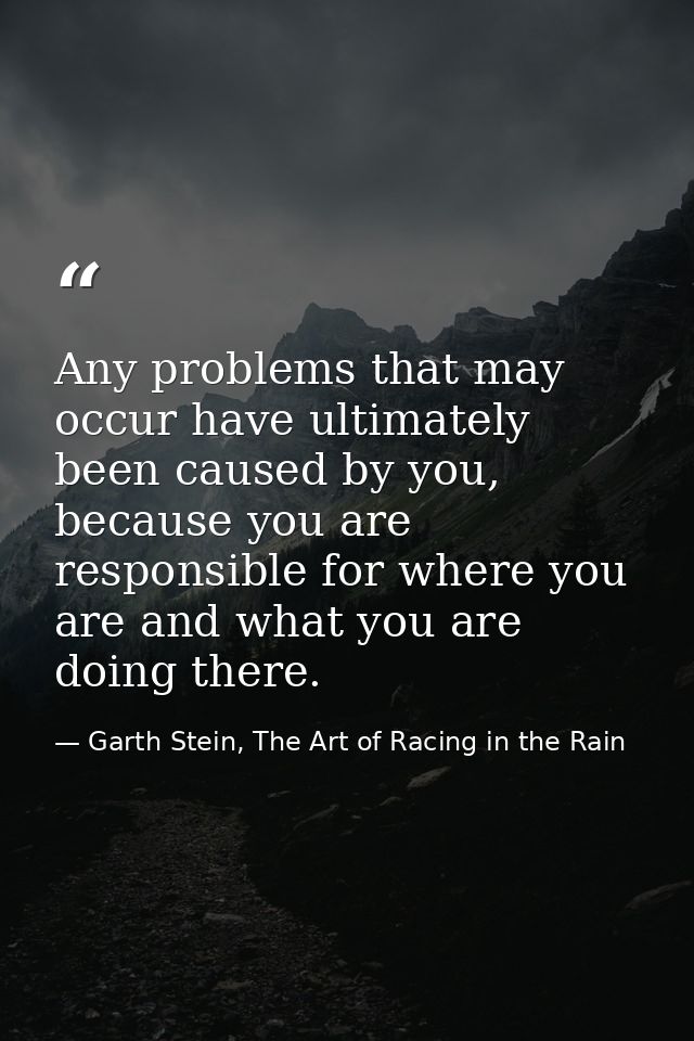 Any problems that may occur have ultimately been caused by you, because you are responsible for where you are and what y — Garth Stein, The Art of Racing in the Rain