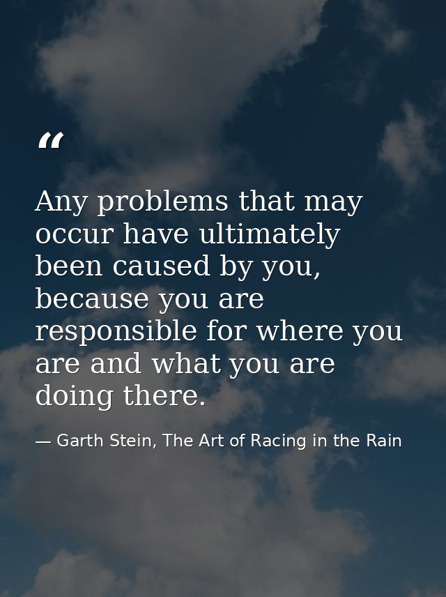 Any problems that may occur have ultimately been caused by you, because you are responsible for where you are and what y — Garth Stein, The Art of Racing in the Rain