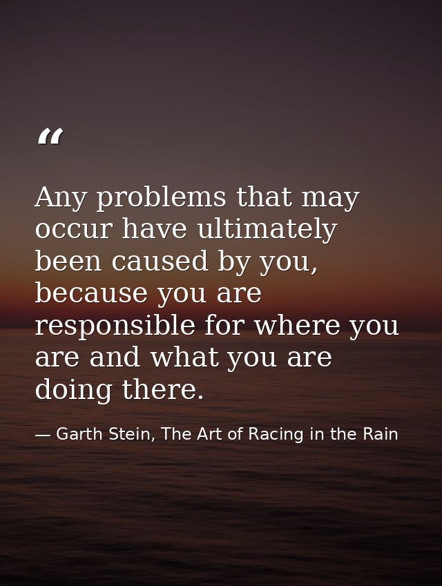 Any problems that may occur have ultimately been caused by you, because you are responsible for where you are and what y — Garth Stein, The Art of Racing in the Rain