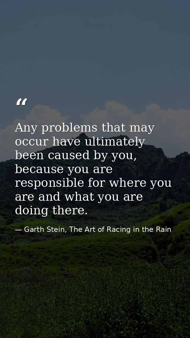 Any problems that may occur have ultimately been caused by you, because you are responsible for where you are and what y — Garth Stein, The Art of Racing in the Rain
