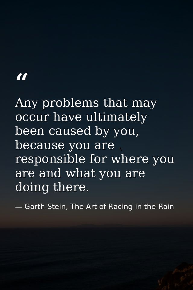 Any problems that may occur have ultimately been caused by you, because you are responsible for where you are and what y — Garth Stein, The Art of Racing in the Rain
