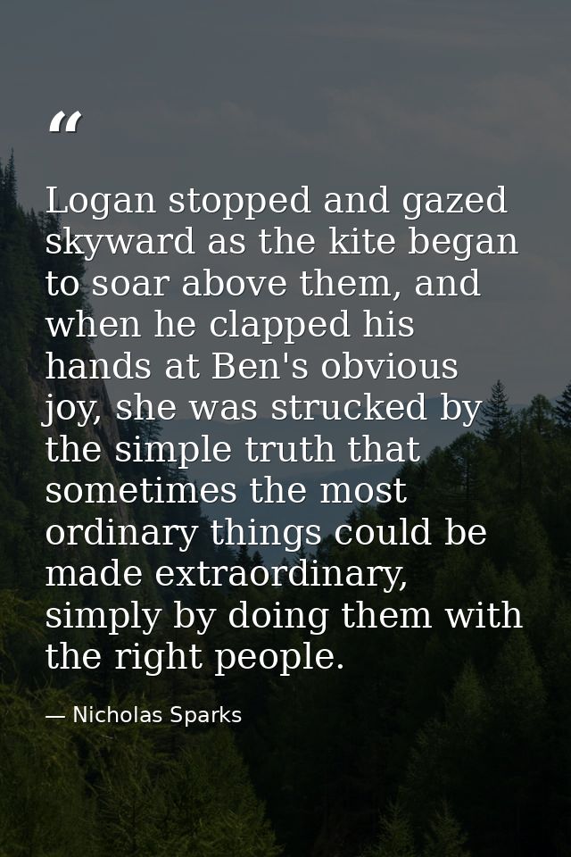 Logan stopped and gazed skyward as the kite began to soar above them, and when he clapped his hands at Ben's obvious joy — Nicholas Sparks