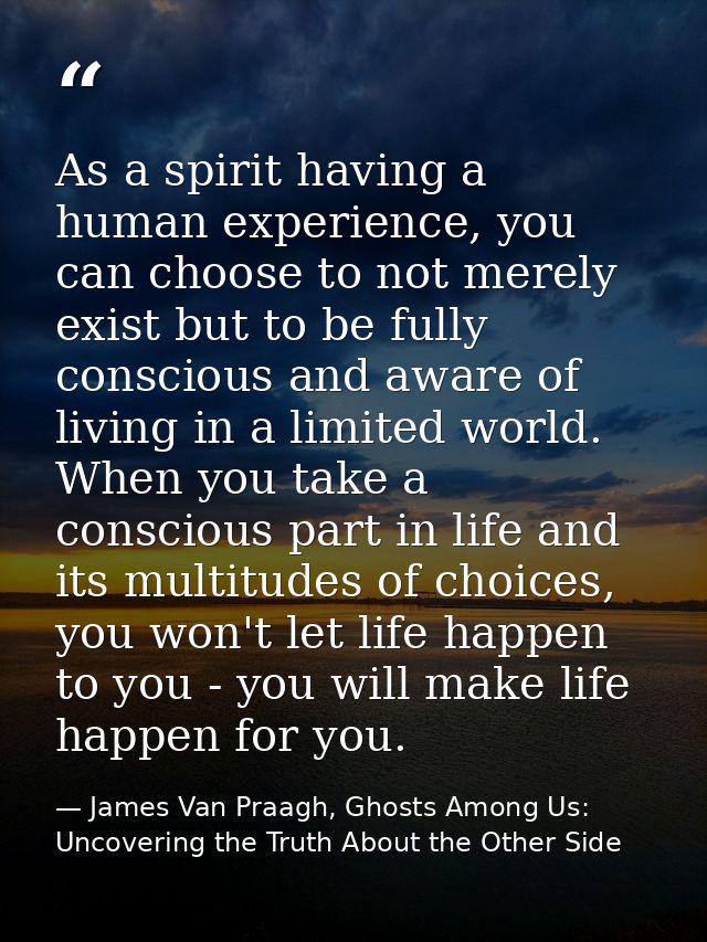 As a spirit having a human experience, you can choose to not merely exist but to be fully conscious and aware of living  — James Van Praagh, Ghosts Among Us: Uncovering the Truth About the Other Side