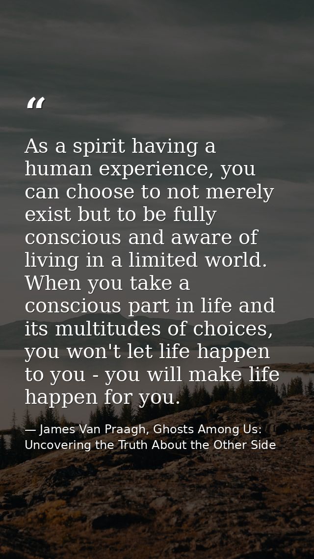 As a spirit having a human experience, you can choose to not merely exist but to be fully conscious and aware of living  — James Van Praagh, Ghosts Among Us: Uncovering the Truth About the Other Side
