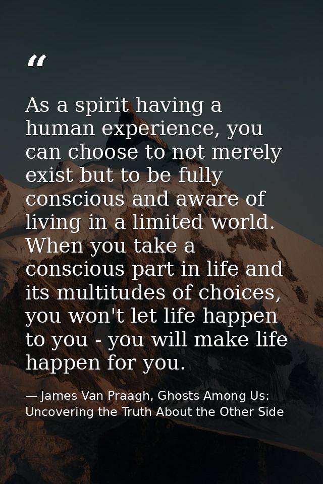 As a spirit having a human experience, you can choose to not merely exist but to be fully conscious and aware of living  — James Van Praagh, Ghosts Among Us: Uncovering the Truth About the Other Side