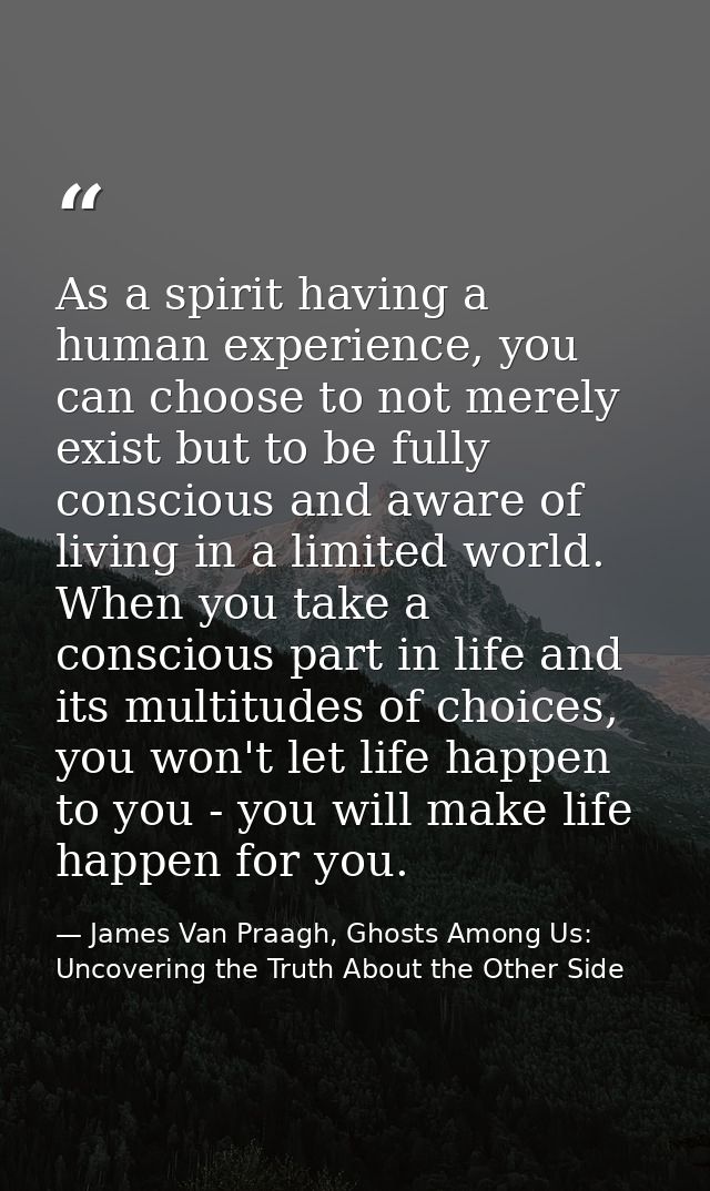 As a spirit having a human experience, you can choose to not merely exist but to be fully conscious and aware of living  — James Van Praagh, Ghosts Among Us: Uncovering the Truth About the Other Side