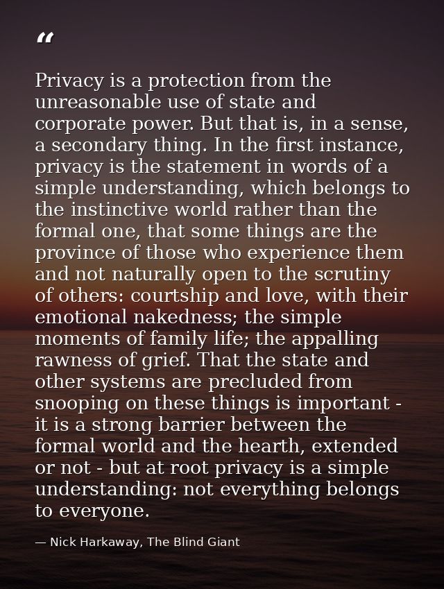 Privacy is a protection from the unreasonable use of state and corporate power. But that is, in a sense, a secondary thi — Nick Harkaway, The Blind Giant