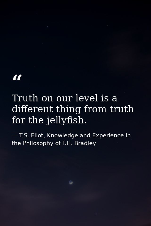 Truth on our level is a different thing from truth for the jellyfish. — T.S. Eliot, Knowledge and Experience in the Philosophy of F.H. Bradley
