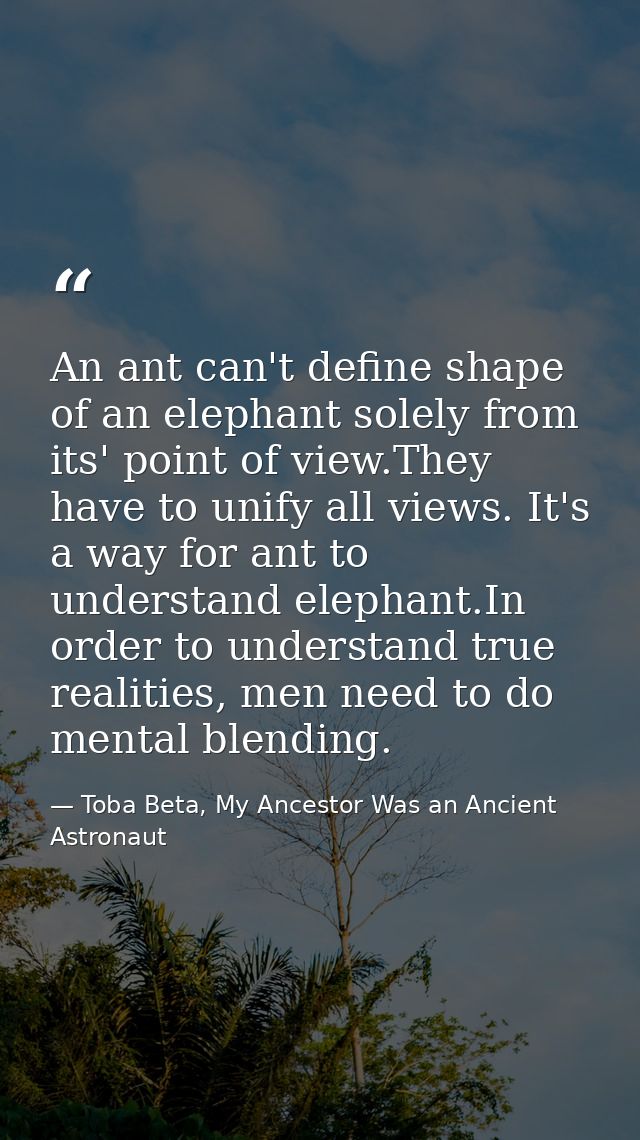 An ant can't define shape of an elephant solely from its' point of view.They have to unify all views. It's a way for ant — Toba Beta, My Ancestor Was an Ancient Astronaut
