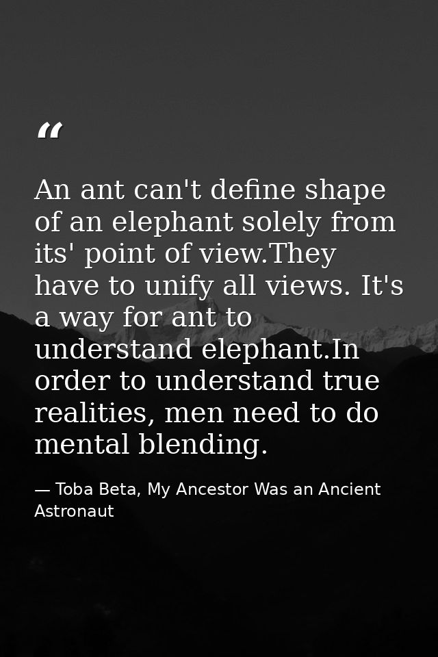 An ant can't define shape of an elephant solely from its' point of view.They have to unify all views. It's a way for ant — Toba Beta, My Ancestor Was an Ancient Astronaut