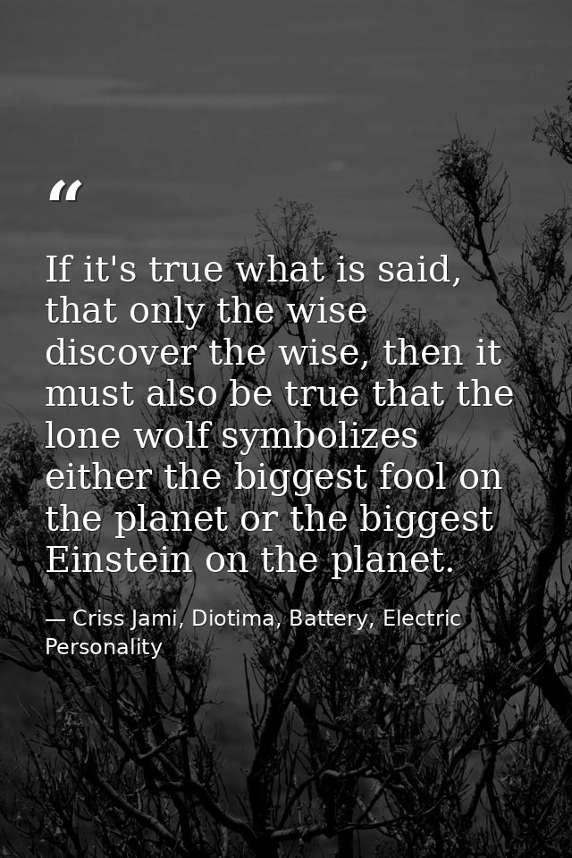If it's true what is said, that only the wise discover the wise, then it must also be true that the lone wolf symbolizes — Criss Jami, Diotima, Battery, Electric Personality