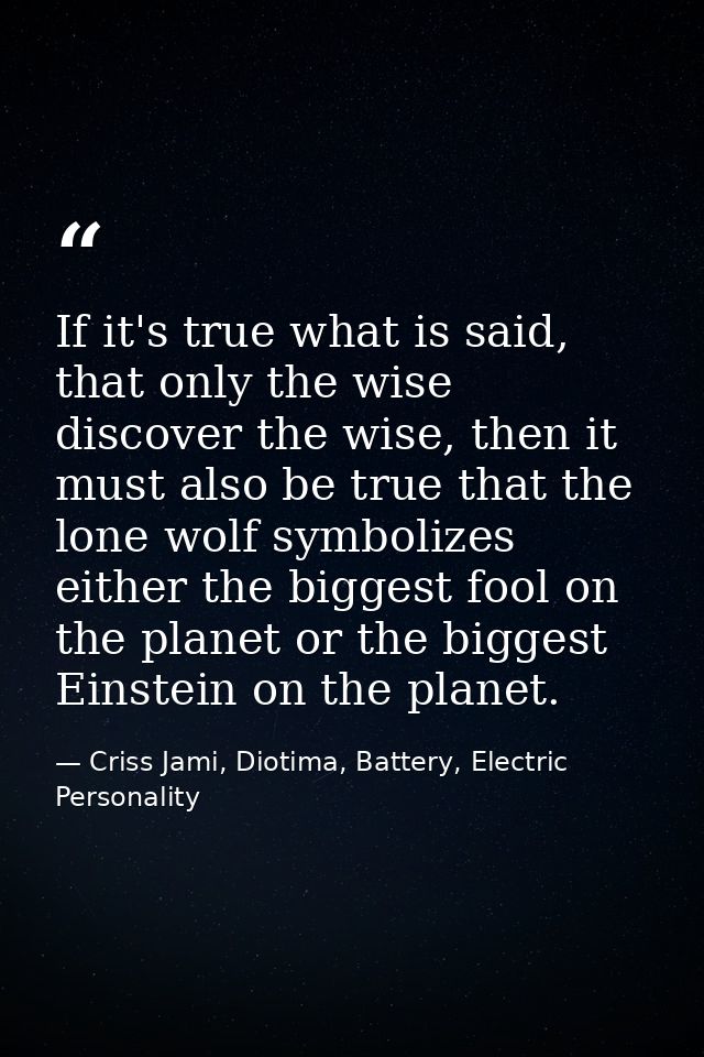 If it's true what is said, that only the wise discover the wise, then it must also be true that the lone wolf symbolizes — Criss Jami, Diotima, Battery, Electric Personality