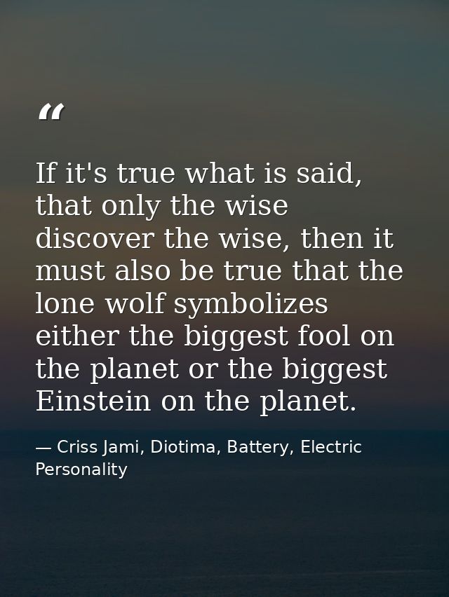 If it's true what is said, that only the wise discover the wise, then it must also be true that the lone wolf symbolizes — Criss Jami, Diotima, Battery, Electric Personality