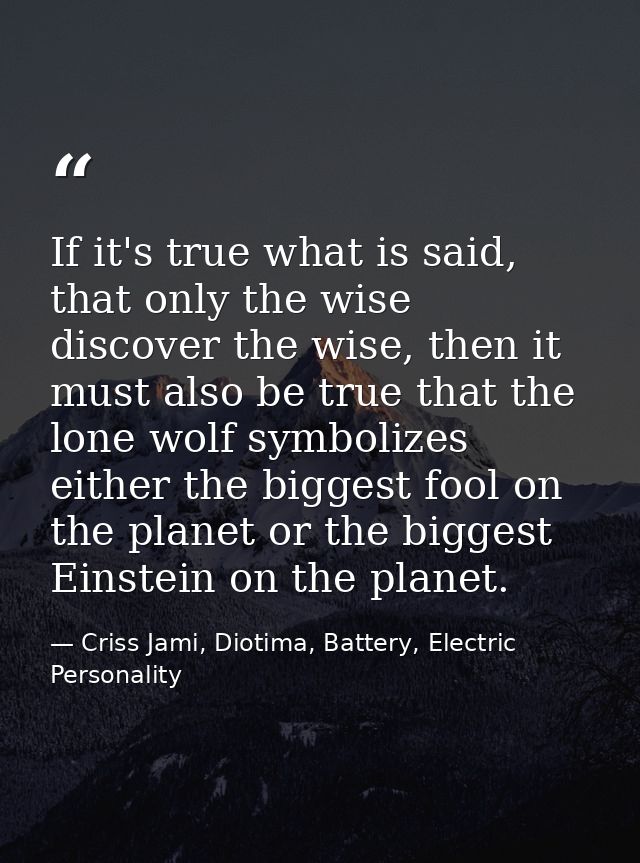 If it's true what is said, that only the wise discover the wise, then it must also be true that the lone wolf symbolizes — Criss Jami, Diotima, Battery, Electric Personality