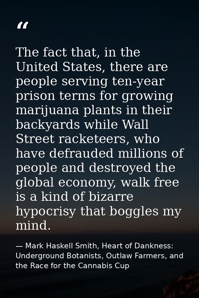 The fact that, in the United States, there are people serving ten-year prison terms for growing marijuana plants in thei — Mark Haskell Smith, Heart of Dankness: Underground Botanists, Outlaw Farmers, and the Race for the Cannabis Cup