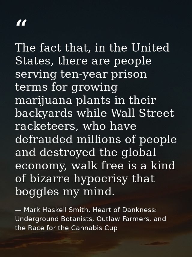 The fact that, in the United States, there are people serving ten-year prison terms for growing marijuana plants in thei — Mark Haskell Smith, Heart of Dankness: Underground Botanists, Outlaw Farmers, and the Race for the Cannabis Cup