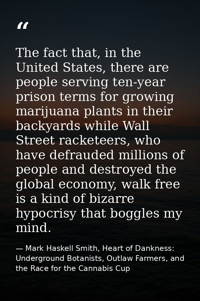 The fact that, in the United States, there are people serving ten-year prison terms for growing marijuana plants in thei — Mark Haskell Smith, Heart of Dankness: Underground Botanists, Outlaw Farmers, and the Race for the Cannabis Cup