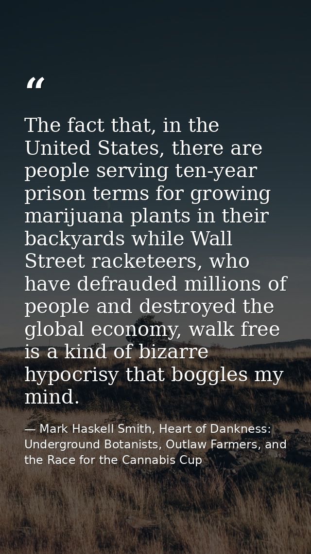 The fact that, in the United States, there are people serving ten-year prison terms for growing marijuana plants in thei — Mark Haskell Smith, Heart of Dankness: Underground Botanists, Outlaw Farmers, and the Race for the Cannabis Cup