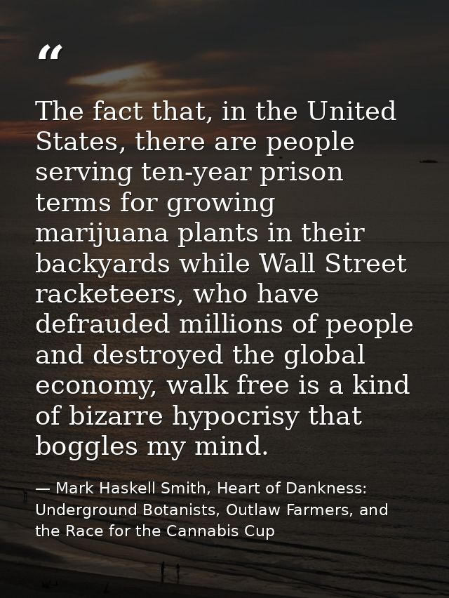 The fact that, in the United States, there are people serving ten-year prison terms for growing marijuana plants in thei — Mark Haskell Smith, Heart of Dankness: Underground Botanists, Outlaw Farmers, and the Race for the Cannabis Cup