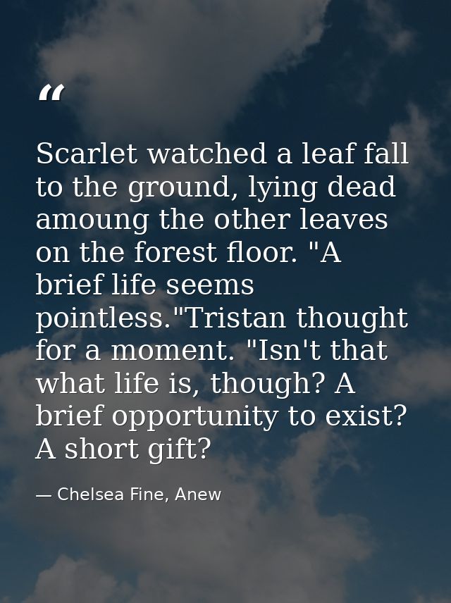 Scarlet watched a leaf fall to the ground, lying dead amoung the other leaves on the forest floor. "A brief life seems p — Chelsea Fine, Anew