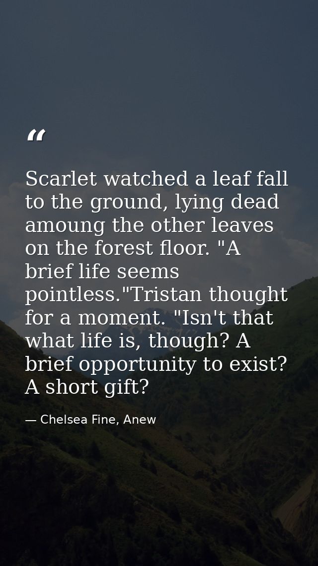 Scarlet watched a leaf fall to the ground, lying dead amoung the other leaves on the forest floor. "A brief life seems p — Chelsea Fine, Anew