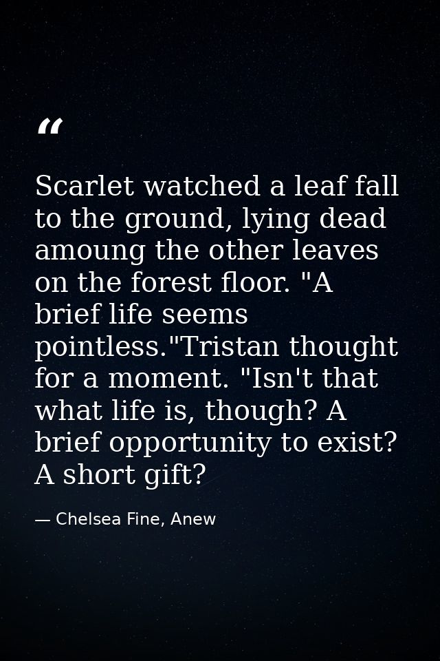 Scarlet watched a leaf fall to the ground, lying dead amoung the other leaves on the forest floor. "A brief life seems p — Chelsea Fine, Anew