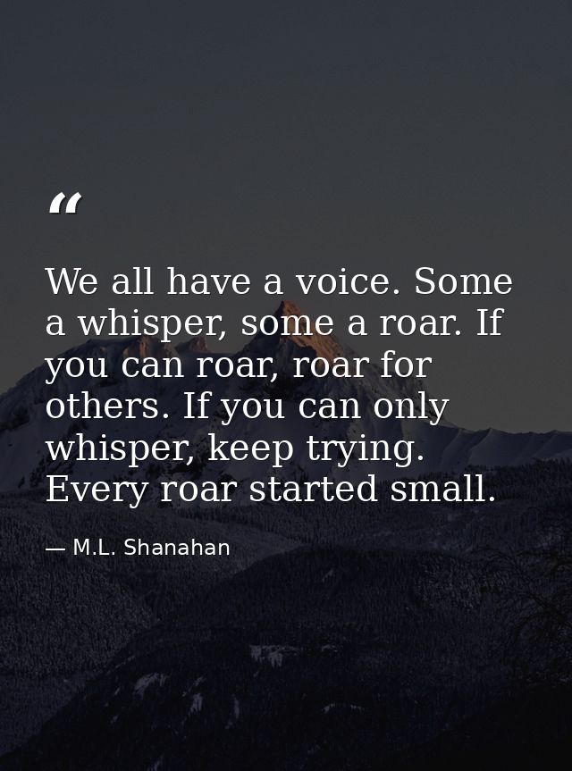 We all have a voice. Some a whisper, some a roar. If you can roar, roar for others. If you can only whisper, keep trying — M.L. Shanahan