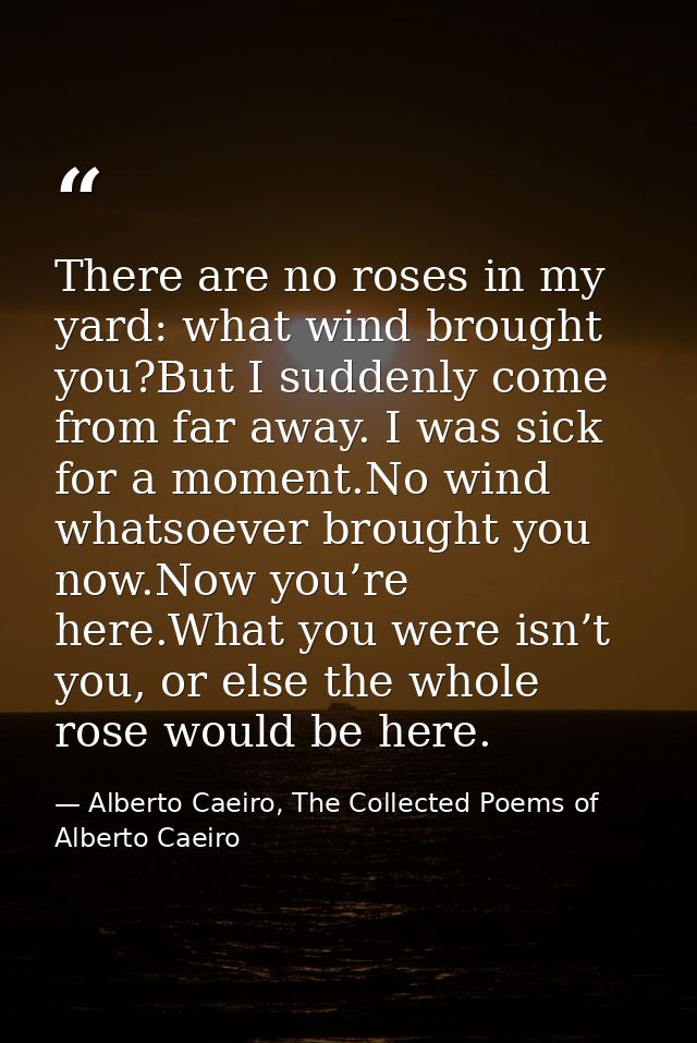 There are no roses in my yard: what wind brought you?But I suddenly come from far away. I was sick for a moment.No wind  — Alberto Caeiro, The Collected Poems of Alberto Caeiro