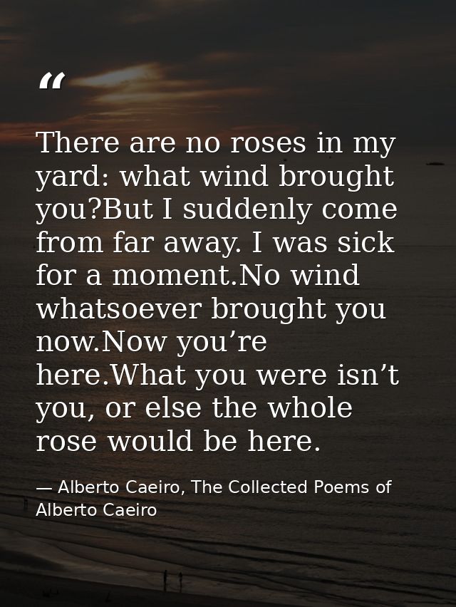 There are no roses in my yard: what wind brought you?But I suddenly come from far away. I was sick for a moment.No wind  — Alberto Caeiro, The Collected Poems of Alberto Caeiro