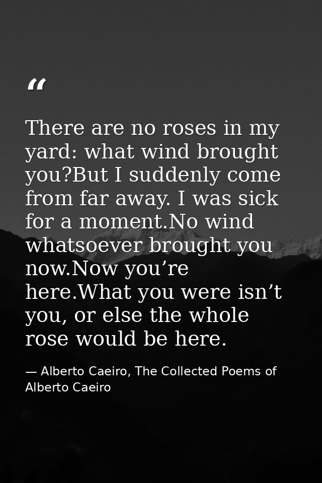 There are no roses in my yard: what wind brought you?But I suddenly come from far away. I was sick for a moment.No wind  — Alberto Caeiro, The Collected Poems of Alberto Caeiro