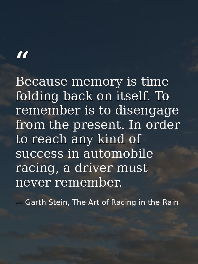 Because memory is time folding back on itself. To remember is to disengage from the present. In order to reach any kind  — Garth Stein, The Art of Racing in the Rain