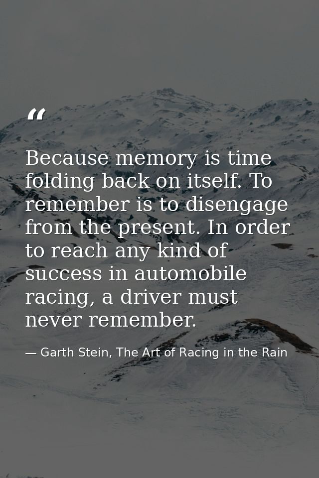 Because memory is time folding back on itself. To remember is to disengage from the present. In order to reach any kind  — Garth Stein, The Art of Racing in the Rain