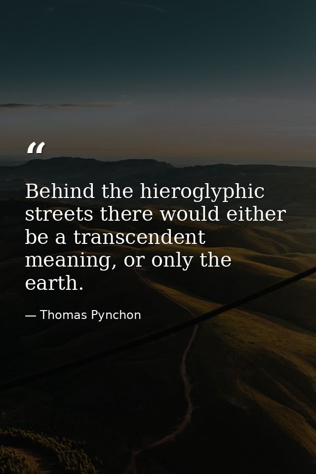Behind the hieroglyphic streets there would either be a transcendent meaning, or only the earth. — Thomas Pynchon
