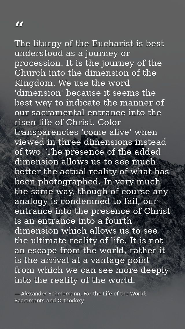 The liturgy of the Eucharist is best understood as a journey or procession. It is the journey of the Church into the dim — Alexander Schmemann, For the Life of the World: Sacraments and Orthodoxy
