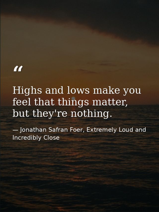 Highs and lows make you feel that things matter, but they're nothing. — Jonathan Safran Foer, Extremely Loud and Incredibly Close