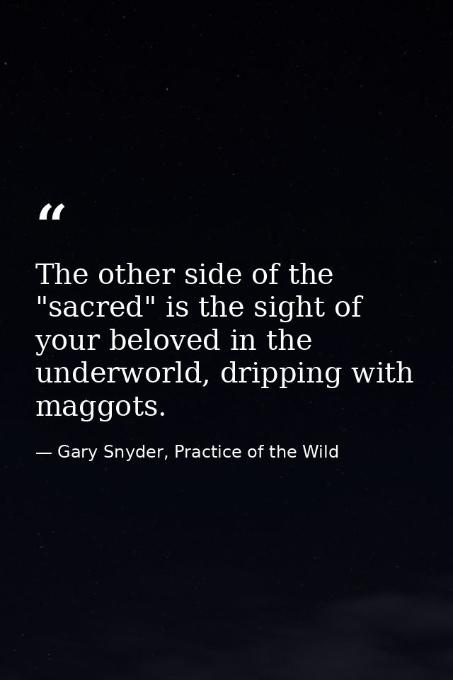 The other side of the "sacred" is the sight of your beloved in the underworld, dripping with maggots. — Gary Snyder, Practice of the Wild