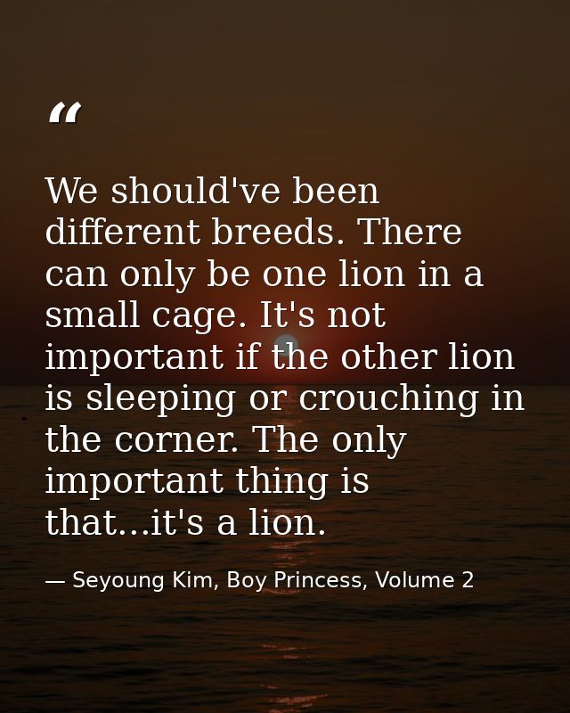 We should've been different breeds. There can only be one lion in a small cage. It's not important if the other lion is  — Seyoung Kim, Boy Princess, Volume 2