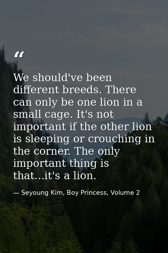We should've been different breeds. There can only be one lion in a small cage. It's not important if the other lion is  — Seyoung Kim, Boy Princess, Volume 2