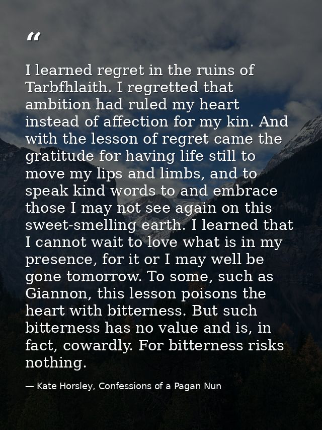 I learned regret in the ruins of Tarbfhlaith. I regretted that ambition had ruled my heart instead of affection for my k — Kate Horsley, Confessions of a Pagan Nun