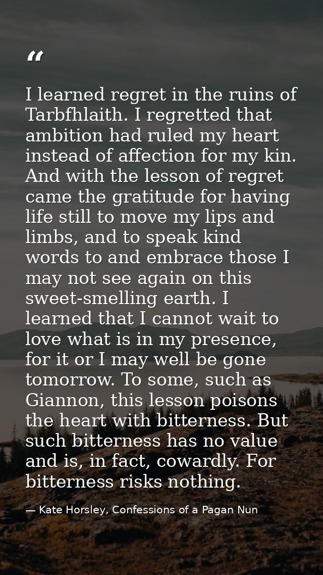 I learned regret in the ruins of Tarbfhlaith. I regretted that ambition had ruled my heart instead of affection for my k — Kate Horsley, Confessions of a Pagan Nun