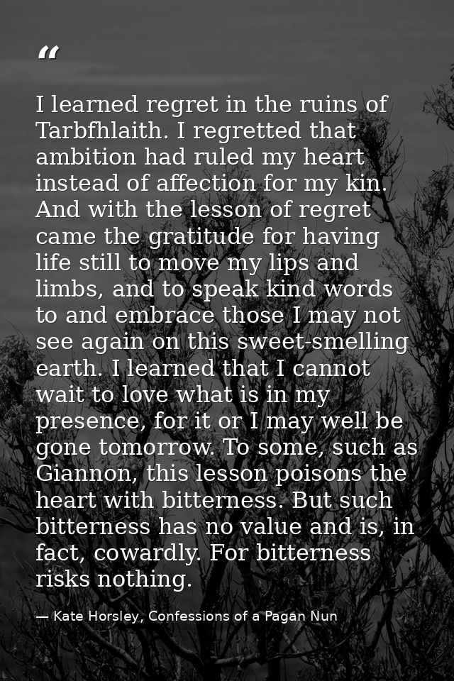 I learned regret in the ruins of Tarbfhlaith. I regretted that ambition had ruled my heart instead of affection for my k — Kate Horsley, Confessions of a Pagan Nun