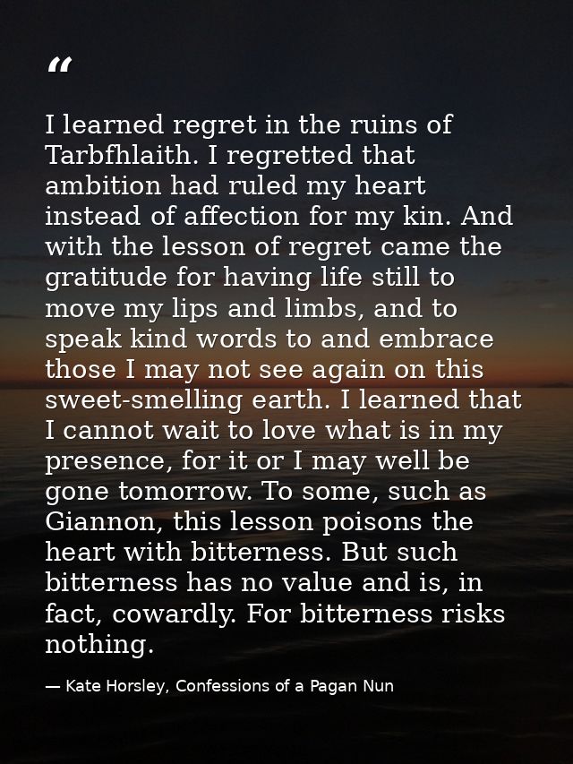 I learned regret in the ruins of Tarbfhlaith. I regretted that ambition had ruled my heart instead of affection for my k — Kate Horsley, Confessions of a Pagan Nun