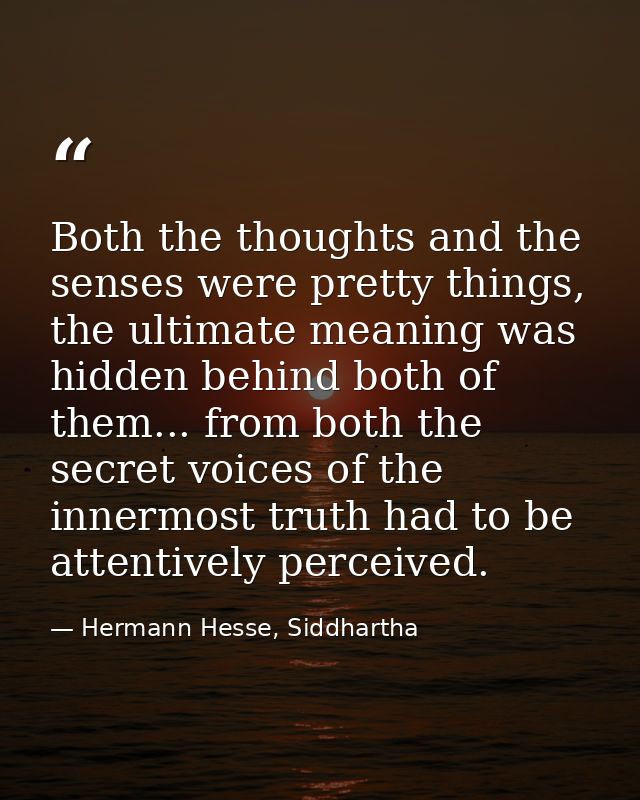Both the thoughts and the senses were pretty things, the ultimate meaning was hidden behind both of them... from both th — Hermann Hesse, Siddhartha