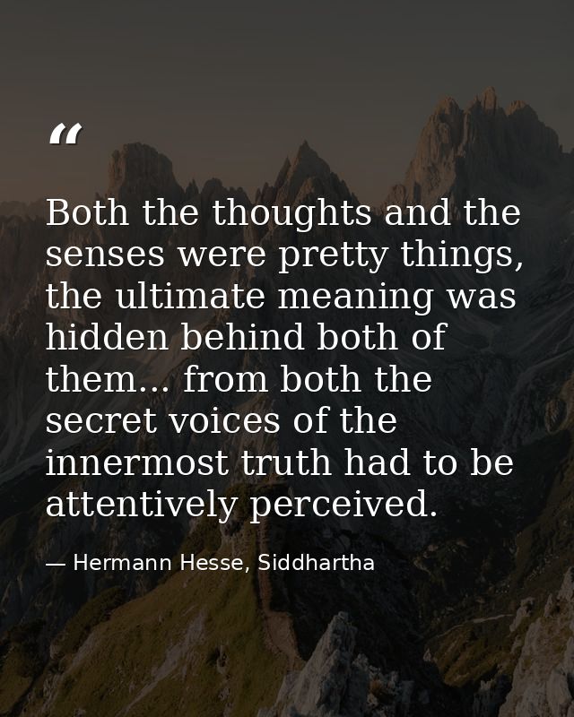 Both the thoughts and the senses were pretty things, the ultimate meaning was hidden behind both of them... from both th — Hermann Hesse, Siddhartha