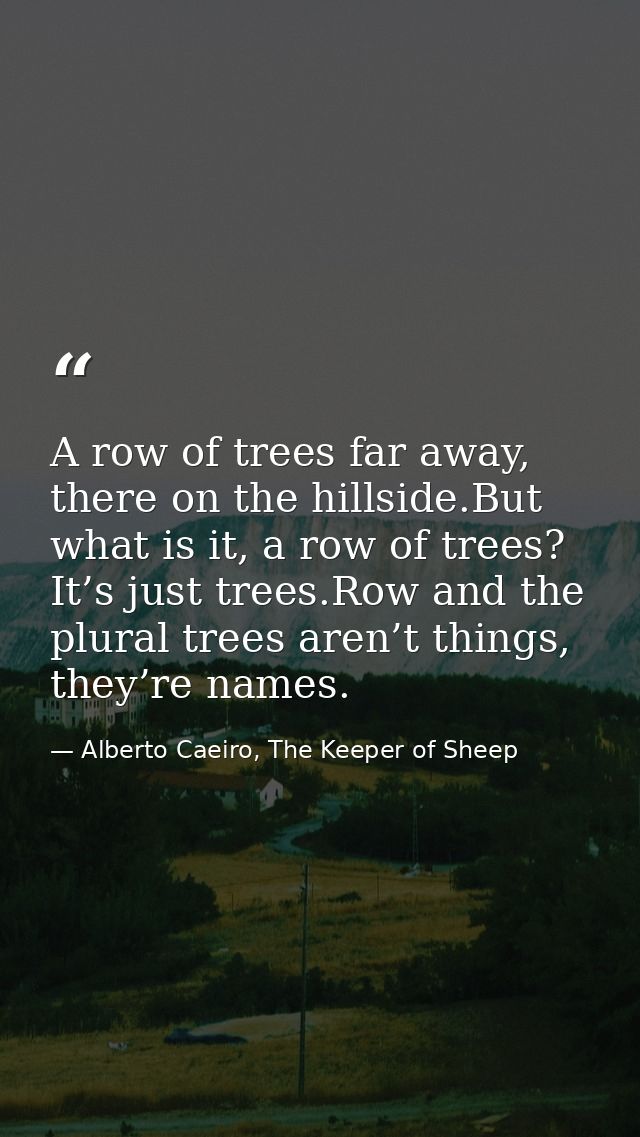 A row of trees far away, there on the hillside.But what is it, a row of trees? It’s just trees.Row and the plural trees  — Alberto Caeiro, The Keeper of Sheep
