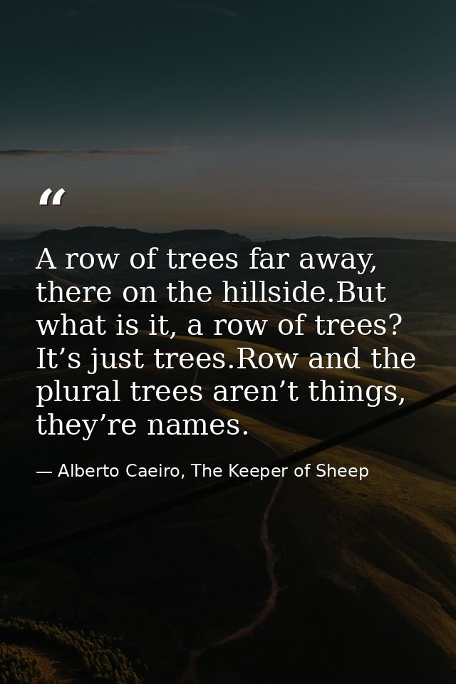 A row of trees far away, there on the hillside.But what is it, a row of trees? It’s just trees.Row and the plural trees  — Alberto Caeiro, The Keeper of Sheep