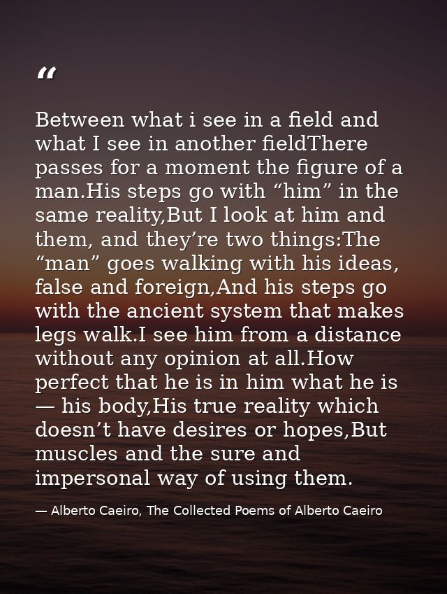 Between what i see in a field and what I see in another fieldThere passes for a moment the figure of a man.His steps go  — Alberto Caeiro, The Collected Poems of Alberto Caeiro
