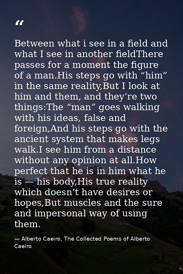 Between what i see in a field and what I see in another fieldThere passes for a moment the figure of a man.His steps go  — Alberto Caeiro, The Collected Poems of Alberto Caeiro