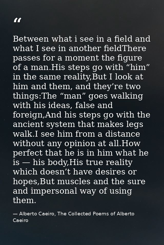 Between what i see in a field and what I see in another fieldThere passes for a moment the figure of a man.His steps go  — Alberto Caeiro, The Collected Poems of Alberto Caeiro